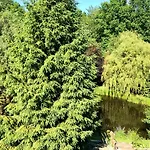 Sielski Zakatek Vakantieboerderij Tokary