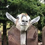 Vakantieboerderij Sielski Zakatek