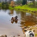 Sielski Zakatek Vakantieboerderij *