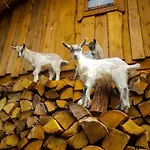 Vakantieboerderij Sielski Zakatek