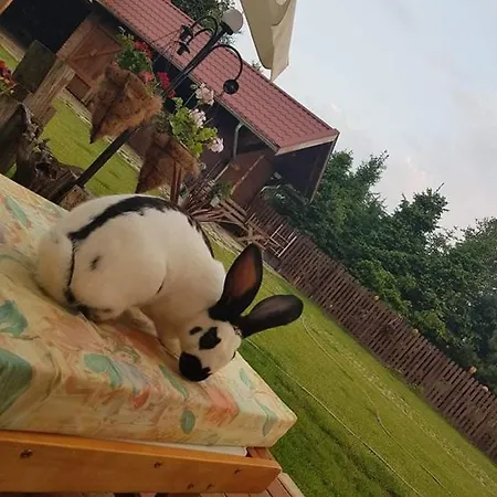 Sielski Zakatek Alloggio per agriturismo