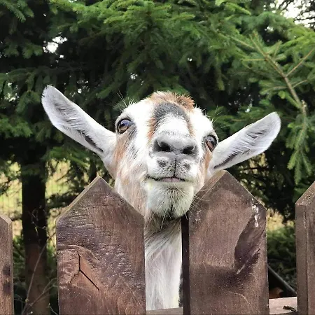 Alloggio per agriturismo Sielski Zakatek