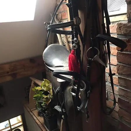 Sielski Zakatek * Tokary