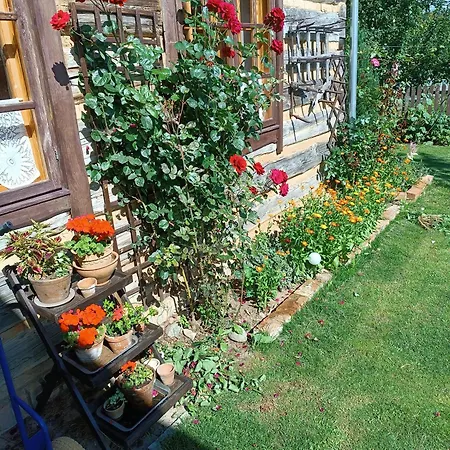 Sielski Zakatek 팜스테이 Tokary