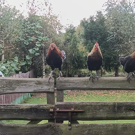 Vakantieboerderij Sielski Zakatek *
