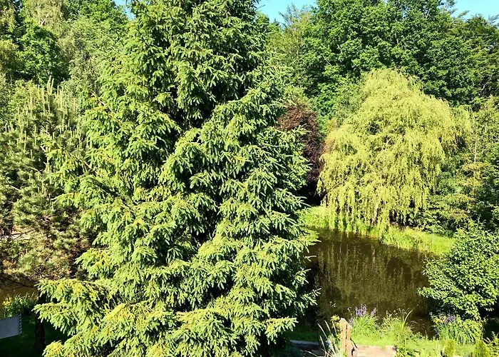 Sielski Zakatek 팜스테이 Tokary