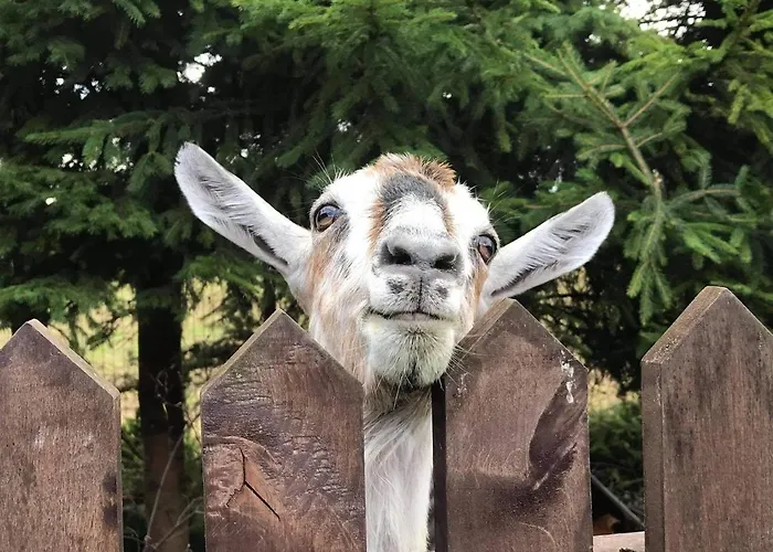 팜스테이 Sielski Zakatek