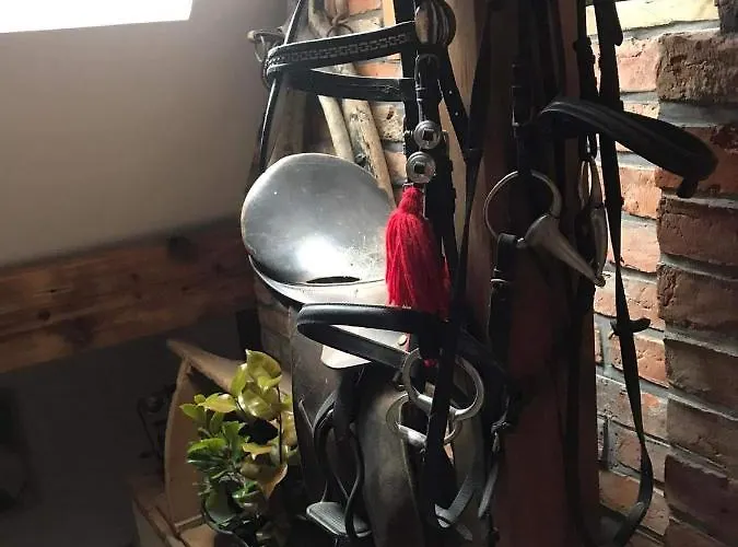 Sielski Zakatek * Tokary