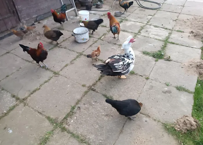 팜스테이 Sielski Zakatek *