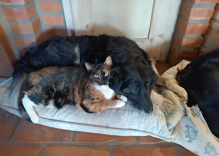 Sielski Zakatek * Tokary