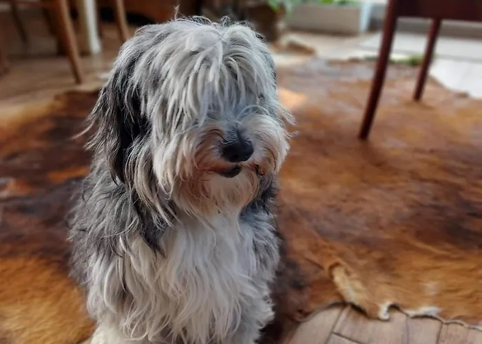 팜스테이 Sielski Zakatek