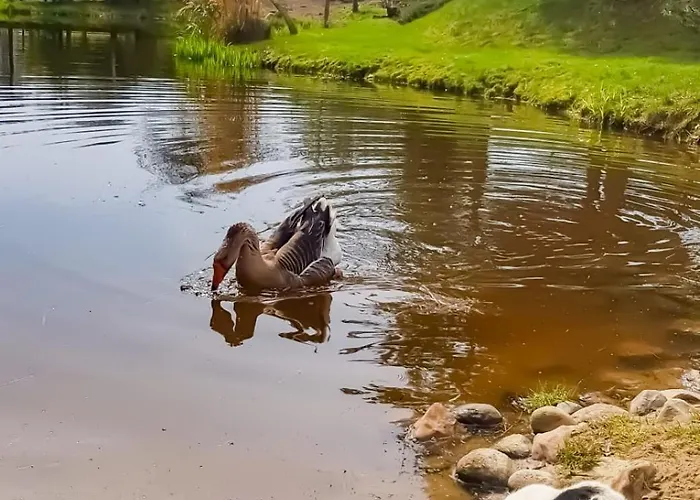 Sielski Zakatek 팜스테이 *