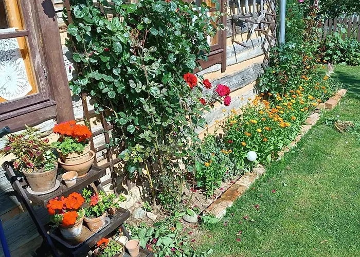 Sielski Zakatek 팜스테이 Tokary