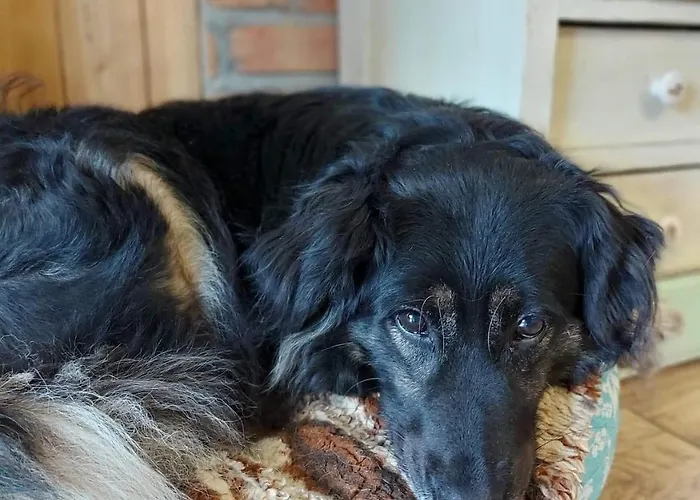 Sielski Zakatek Tokary