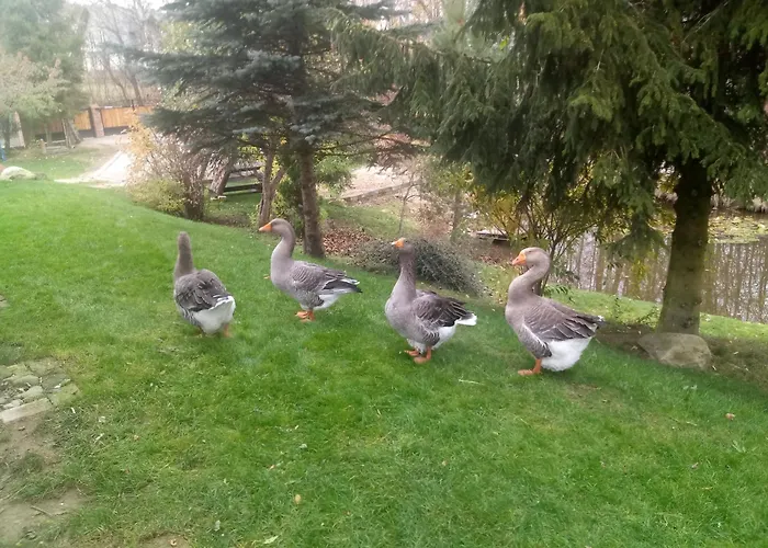 Sielski Zakatek 팜스테이 Tokary